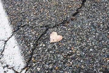 Abstract street photography of isolated heart shaped leaf on concrete asphalt ground. Minimal outdoor urban photography. Blacktop gravel road with cracks on pavement. - 348353990