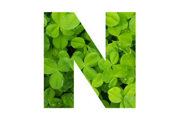 Green Clover Capital N in Poppins Font on White Background