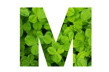 Green Clover Capital M in Poppins Font on White Background
