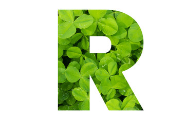 Green Clover Capital R in Poppins Font on White Background