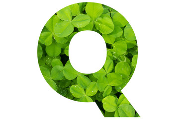 Green Clover Capital Q in Poppins Font on White Background