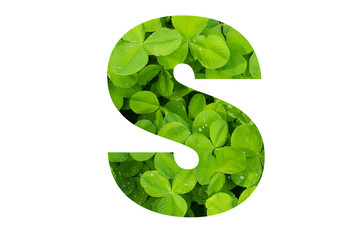 Green Clover Capital S in Poppins Font on White Background