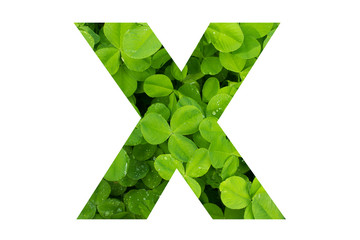 Green Clover Capital X in Poppins Font on White Background