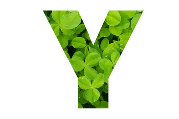 Green Clover Capital Y in Poppins Font on White Background