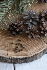 cones on an oak stand