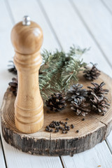 cones on an oak stand