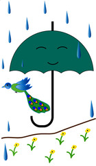 umbrella, rain and peacock