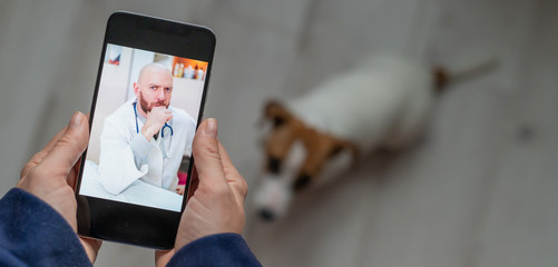 The veterinarian advises the dog owner online on his mobile. A woman talking to a doctor in a video...