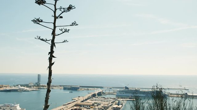 Seaport in Barcelona. Coast with moored yachts. Shooting from a height