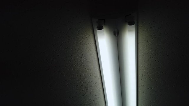天井の蛍光灯