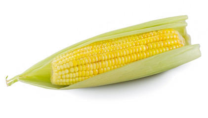 Brazilian Cooked Corn Cob Food June party 