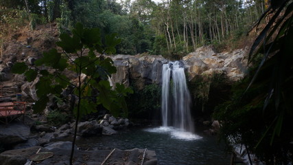 Obraz premium waterfall in the woods
