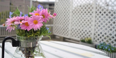 ネモフィラとピンクマーガレット