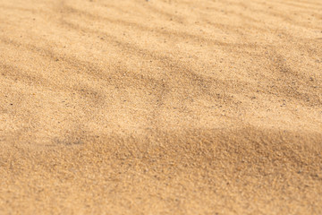 Naklejka na ściany i meble Fine beach sand in the summer sun. Sand beach texture. Top view. Selective focus.