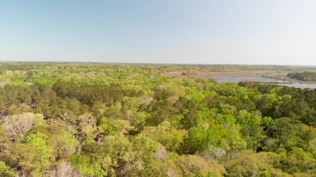 Beautiful panoramic aerial view of Old Sheldon Church and surrounding forest, South Carolina