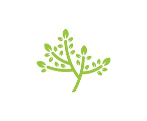 Tree logo
