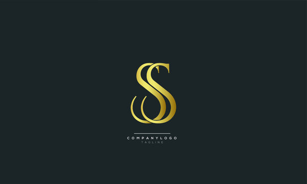 Letter SS Logo Alphabet Design Icon Vector Symbol