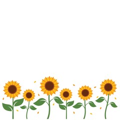 Fototapeta premium Sunflower background