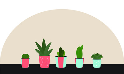 2D illustration design featuring small vector succulent plants in pots.