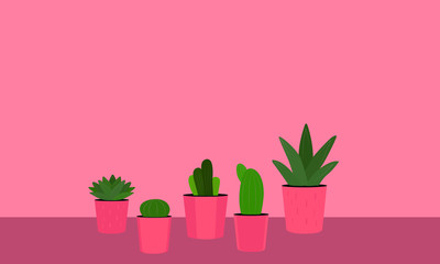 2D illustration design featuring small vector succulent plants in pots.
