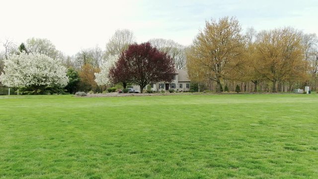 Ground level tracking shot reveals green front yard, lawn, blooming trees during spring time, American home in United States