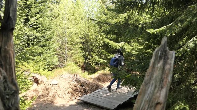 Woman walking on the Adventure Trail Lothar Path in the Black Forest