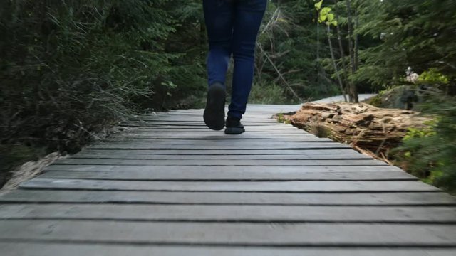 Woman walking on a Boardwalk on the Adventure Trail Lothar Path in the Black Forest, Germany