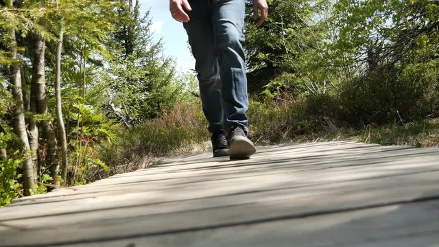 People walking on a Boardwalk on the Adventure Trail Lothar Path in the Black Forest, Germany