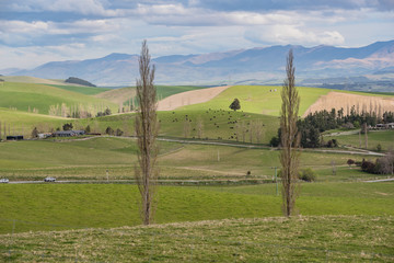 vineyard hills in South Island New Zealand