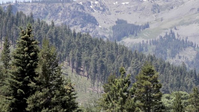 Mountain and forrest landscape in the The Sierra Nevada Mountains of Lake Tahoe during summer