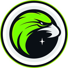 Nighthawk Mascot
