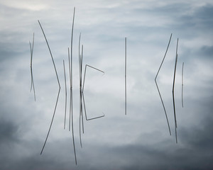 Shoreline reeds create graphic patterns among the cloud reflections on the surface of a Northwoods lake.