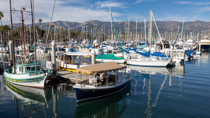 boats in marina