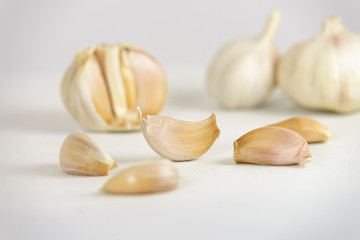 Fresh garlic head and garlic cloves on white canvas background with copy space. select focus