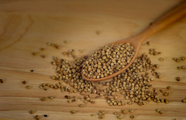 Coriander dry seeds in wooden spoon on wooden table