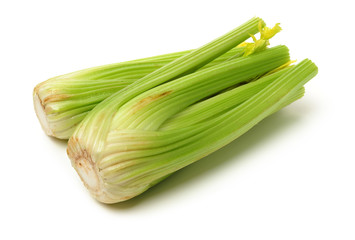 celery on a white background