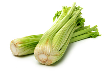 celery on a white background