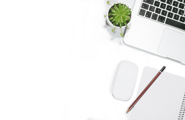 Potted plant, laptop, mouse, notebook, and pen lying flat on white desk, copy space