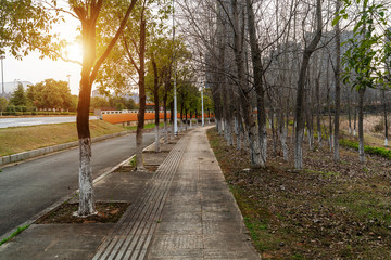 Obraz premium walkway in the modern city