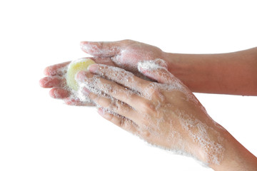 Fototapeta premium Beautiful woman's hands wash their hands with foam soap to wash the skin, protect from germs and coronavirus in the hands On isolated white background, Concept of cleanliness .With clipping path