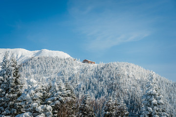 Snow covered pine trees on the background of mountain peaks. Panoramic view of the snowy winter landscape at Shinhotara Ropeway, Japan