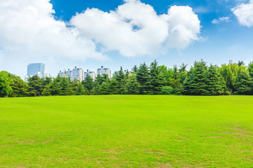 Green grass and city skyline with buildings in Shanghai,China.