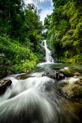 Waterfall landscape. Beautiful hidden Dedari waterfall in tropical rainforest in Sambangan, Bali. Slow shutter speed, motion photography.