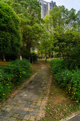 Walkways, concrete slabs lined up in lawns, beautiful designs, garden decoration ideas