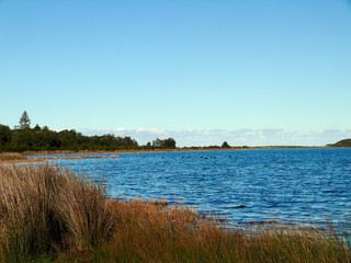 landscape with lake and sky