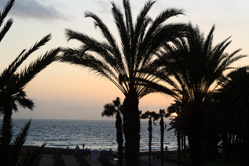 Fototapeta premium Sunset at beach and Atlantic Ocean panorama in holiday resort Playa de las Americas on Canary Island Tenerife, Spain