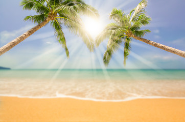 Summer background with  of tropical  beach with rays of sun light and leaf palm. summer vacation concept.