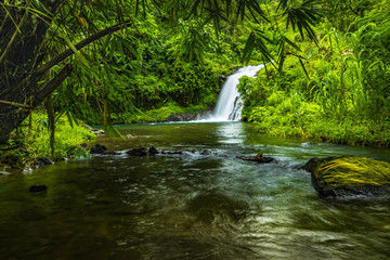 Waterfall landscape. Beautiful hidden Canging waterfall in tropical jungle in Sambangan, Bali. Slow shutter speed, motion photography.