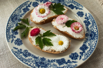 Snacks from bread, cottage cheese and daisies, decorated with young leaves (lat. Aegopódium podagrária) - a perennial herb; a species of the genus Daisy of the family Umbrella (Apiaceae) on a plate. 