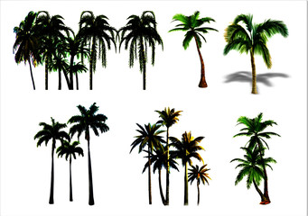 Vector illustration of green palms in different layers on white background